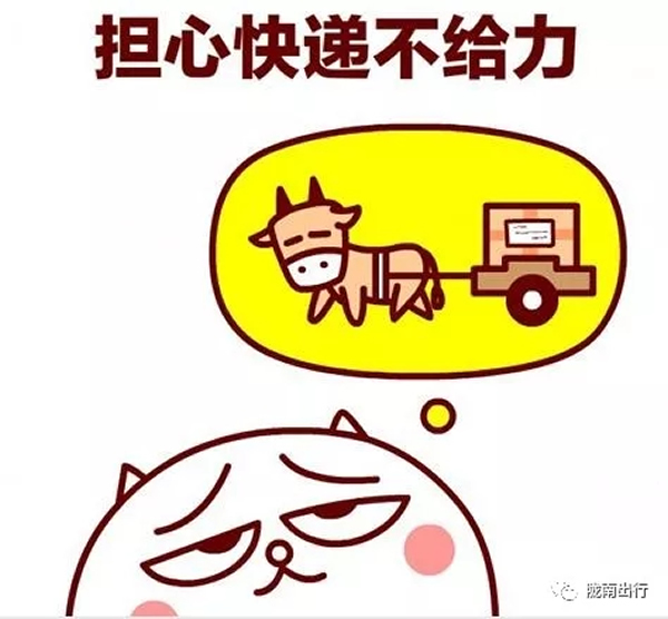 隴運集團武都汽車站、成縣汽車站、康縣汽車站快運